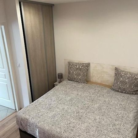 Appartement Oasis Proche De Lyon Groupama Lcdl Meyzieu Exterior photo